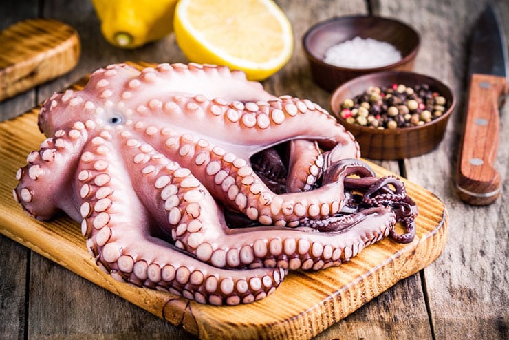 A view of a raw octopus with tentacles on a cutting board