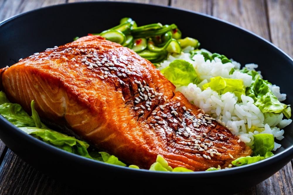 A view of a salmon with rice