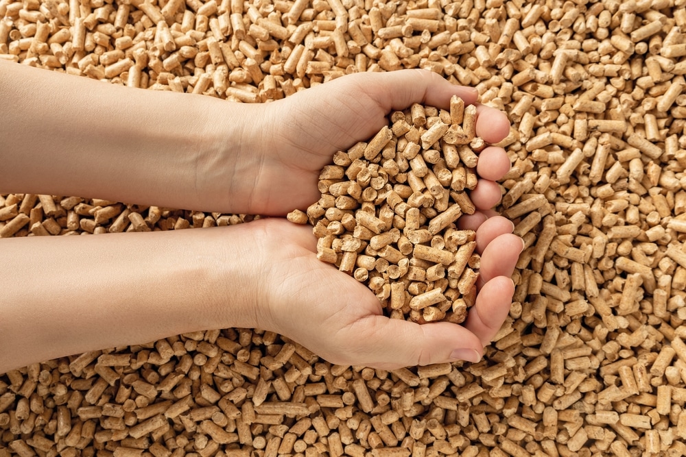 An overhead view of hands holding wooden pellets