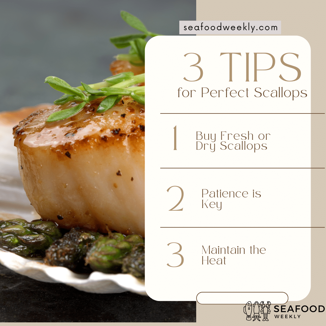 Tips for Perfect Scallops 