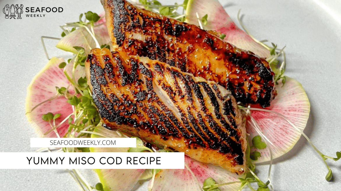 Yummy Miso Cod Recipe Yummy Miso Cod Recipe