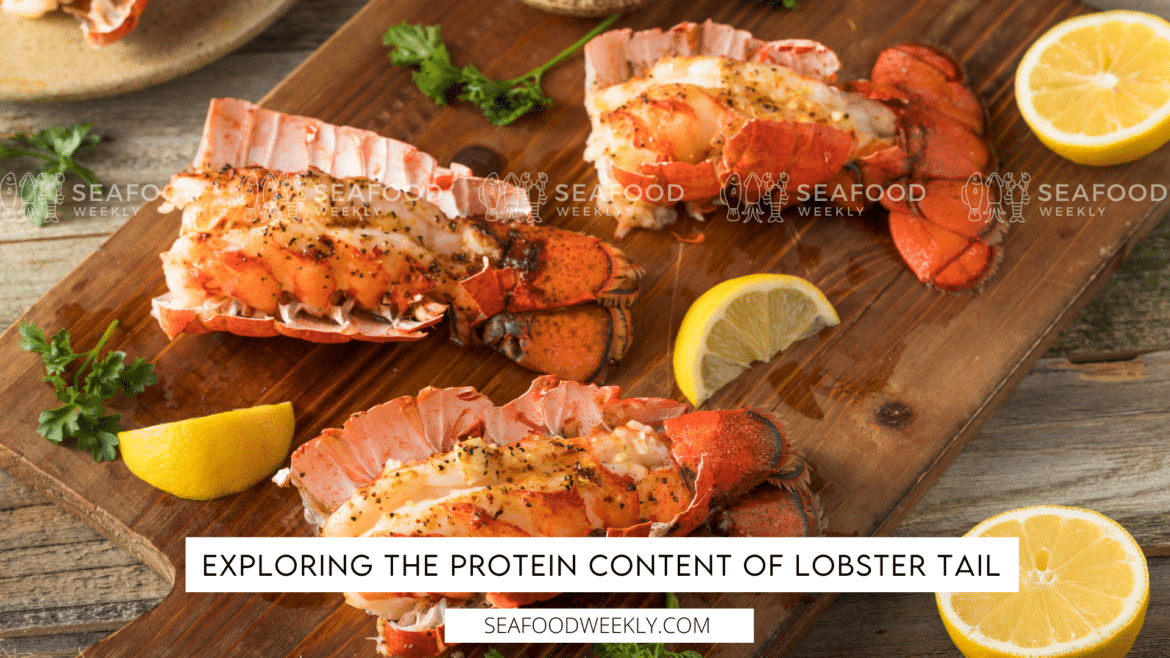 Exploring the Protein Content of Lobster Tail