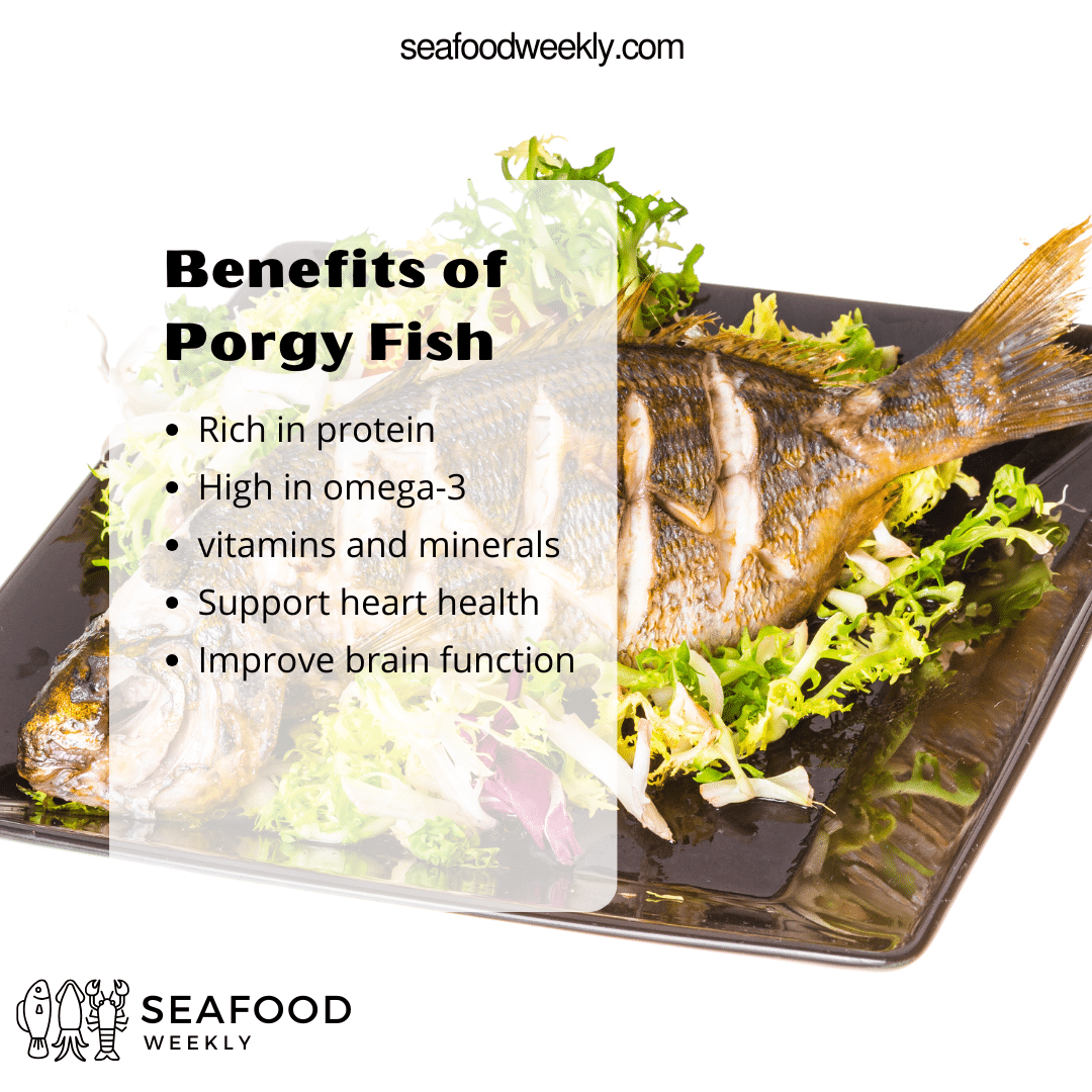 health benefits of porgy fish