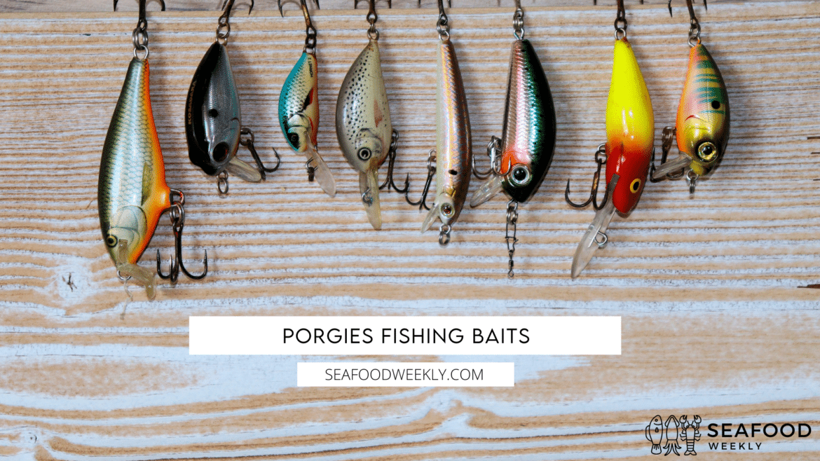 porgies fishing baits