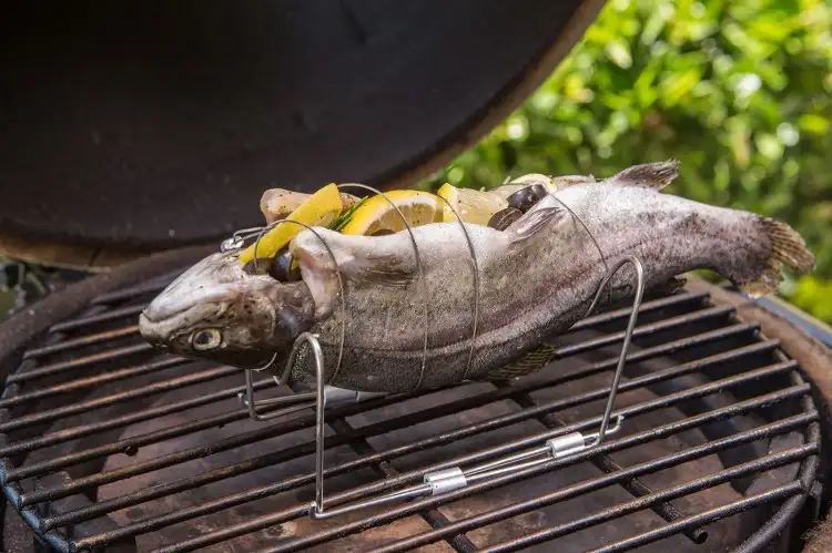 a fish on a grilling rack