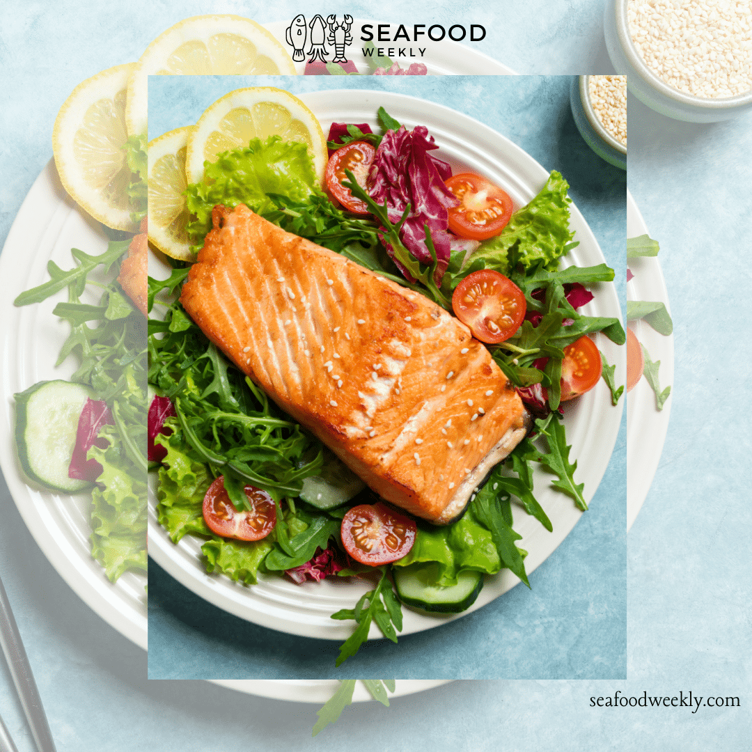 coho salmon fish coho salmon fish