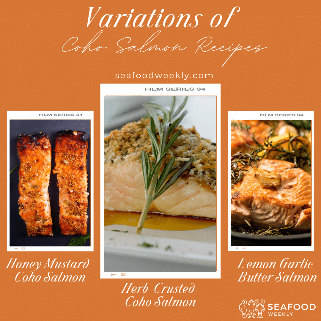 variatin of coho salmon fish variatin of coho salmon fish